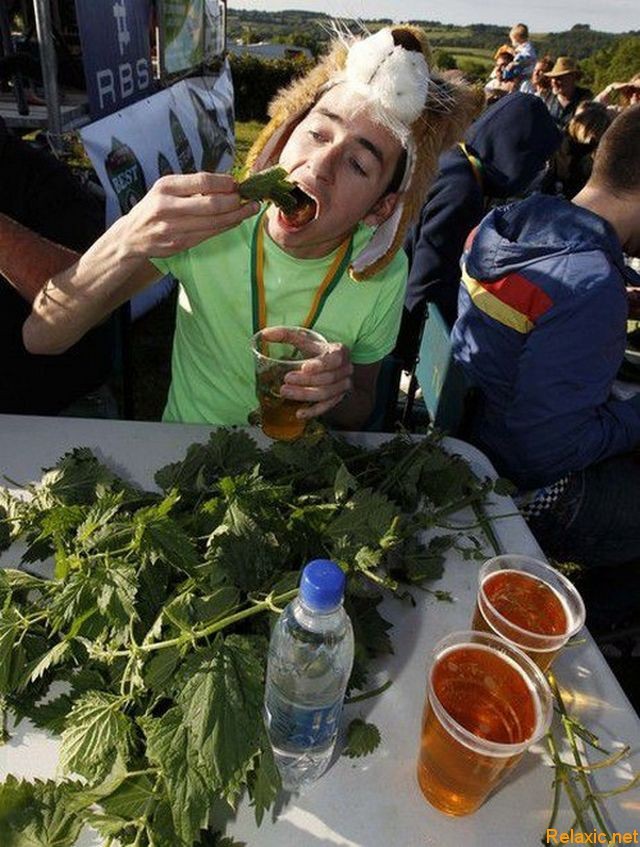 Nettle Eating Championship - Longpost, Oddities, Nettle, Championship, The photo, Freaks