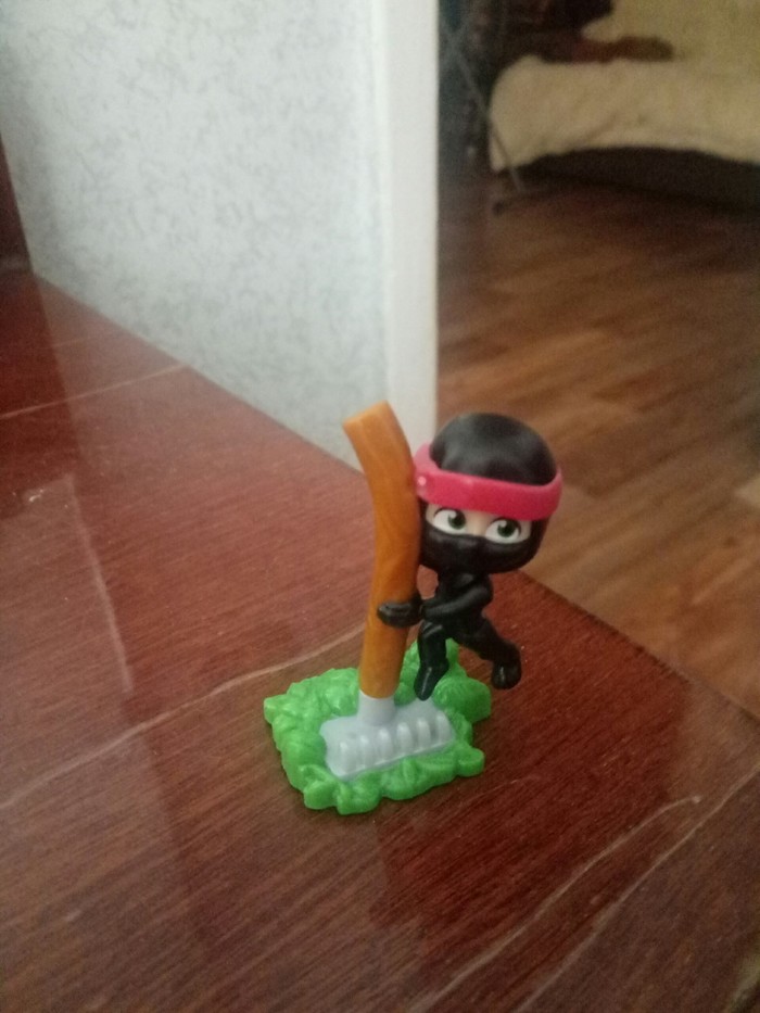 Ninja Stipteaser - My, Rake, The photo, Toys, Labor Day, First post