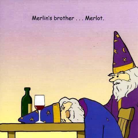 Merlin's brother... Merlo. - Humor, Merlin, Merlot