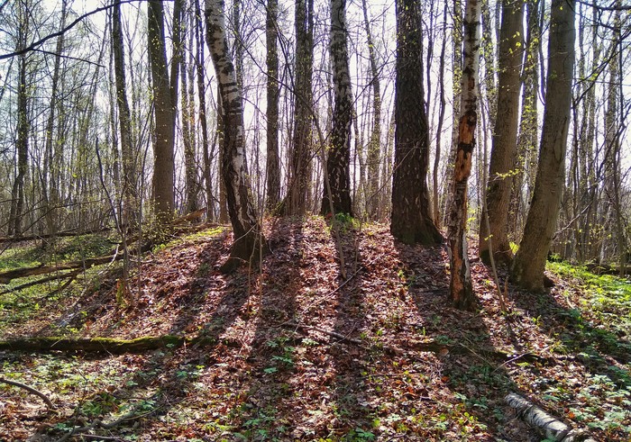 Mounds of the Slavs-Vyatichi (Moscow) - My, Story, Moscow, Mound, Slavs, Vyatichi