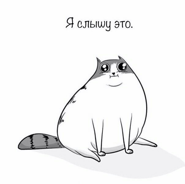 Часть молодой вселенной - Кот, Вселенная, Длиннопост, The Oatmeal, Комиксы