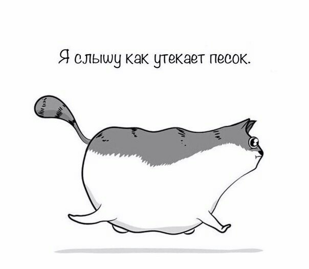 Часть молодой вселенной - Кот, Вселенная, Длиннопост, The Oatmeal, Комиксы