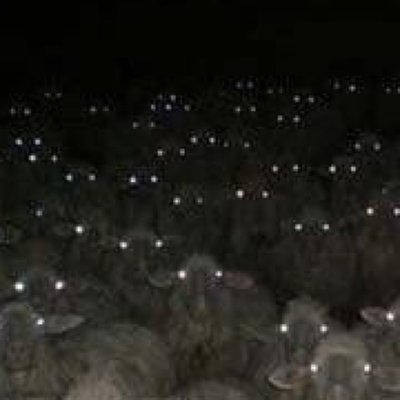 They are watching you... - Sheeps, It was possible, Horror, Fear, Repeat