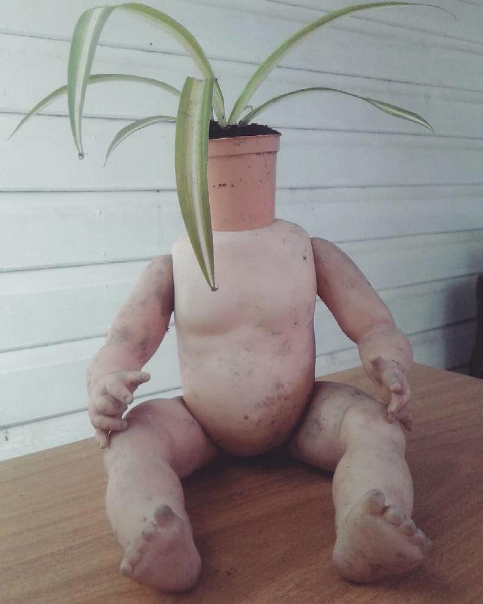 People turned old dolls into plant pots - Longpost, Flowers, Doll, Flower pot, Kripota