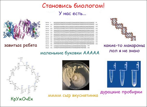 Всё, что вы хотели (или не хотели) знать о биофаке, но боялись спросить - Биология, Биофак, Поступление, Абитуриентам, Абитуриент, ЕГЭ