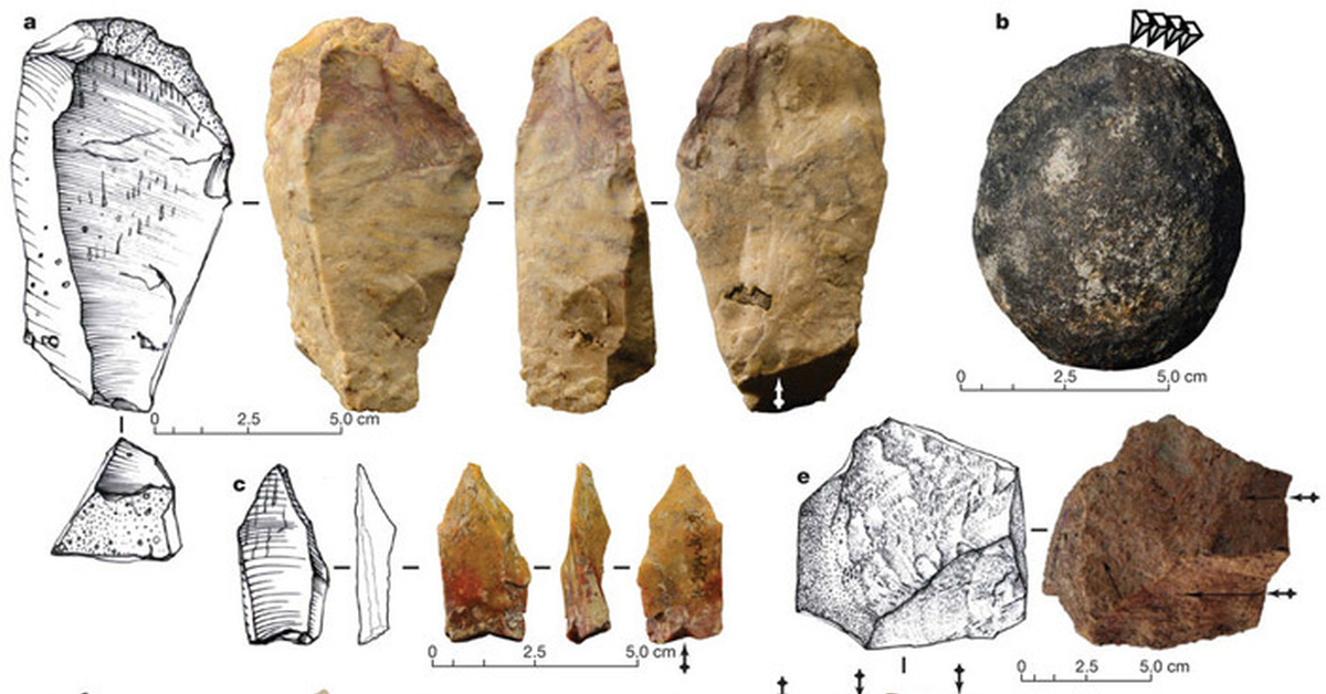 Камень древнего человека. Каменные орудия древних людей древних людей. Каменные орудия в Дманиси. Каменные орудия труда древних людей. Соан-каменные орудия.