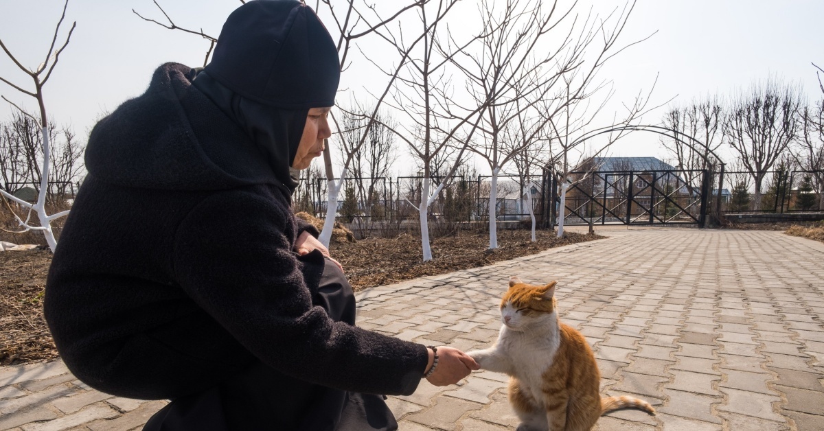 Кот монах. Кот в монастыре. Православные монахиня и кот. Коты монашки. Монахиня с котятами Задонск.