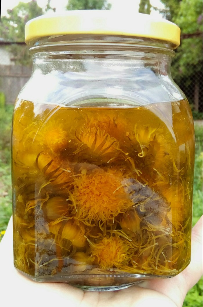 A brave cook or a brave cook - My, Cooking, Strange taste, Dandelion jam, Jam, Nettle, Dandelion