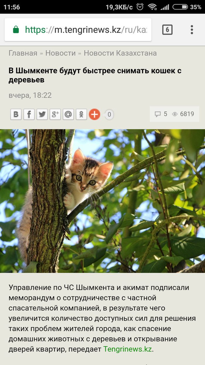 Новости которые мы заслужили