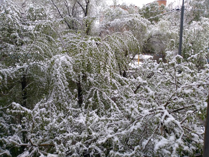 Weather in Ust-Kamenogorsk - My place, My, Longpost, Peekaboo