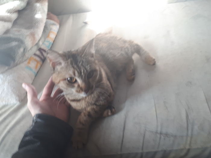 ���� ���� ������. ���������.