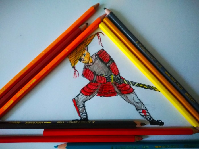 Кот-самурай