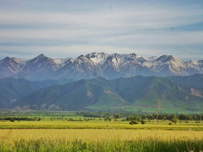 Only mountains can be better than mountains - My, The mountains, Field, Nature, Kyrgyzstan