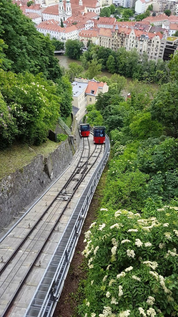 Trams - Tram, Railway, The photo