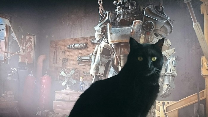 ����� ���� ��� ����� ����������  ����