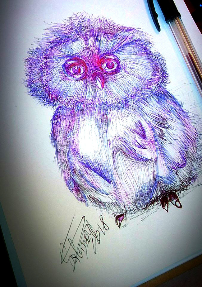 Bird, owlet. - My, Owl, , Little Bird, A bird will fly out now, What kind of bird?, Longpost, Drawing