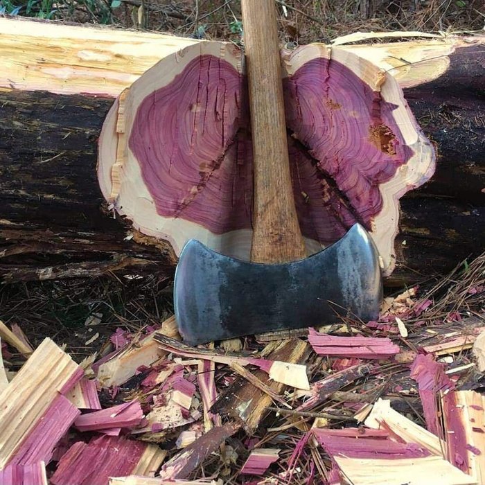 purple heart - Amaranth, Tree, , Axe