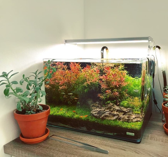 40 литров красоты))