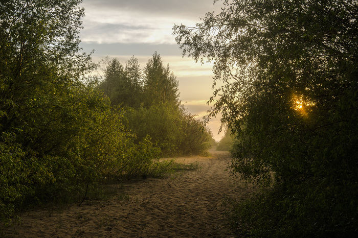 Я люблю фотографировать