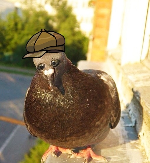 ��� ������ ��������� ��������