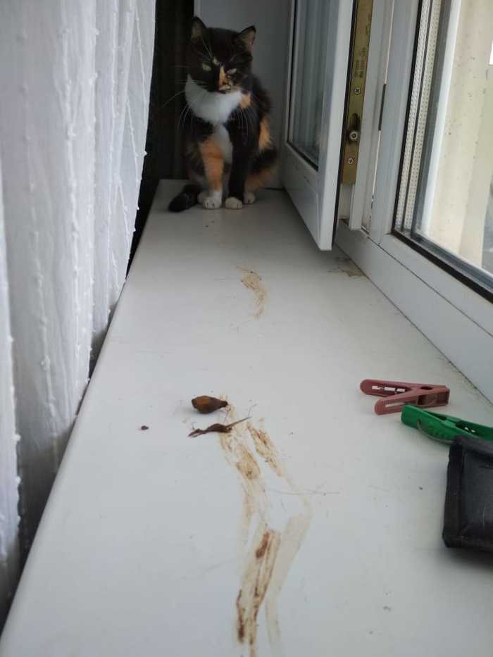 ���� ���������� � �����..