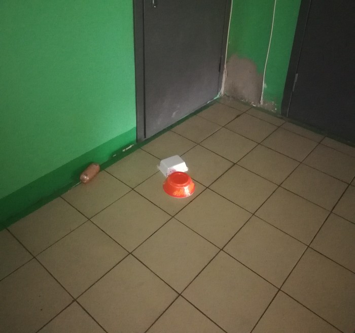 In the hallways of our city - My, Entrance, Sausage