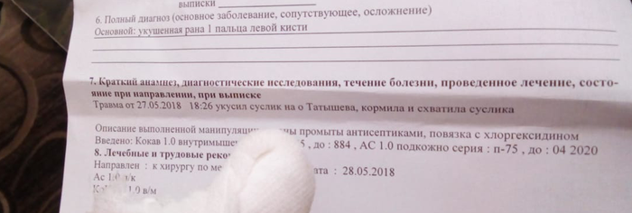 Как нельзя кормить сусликов...