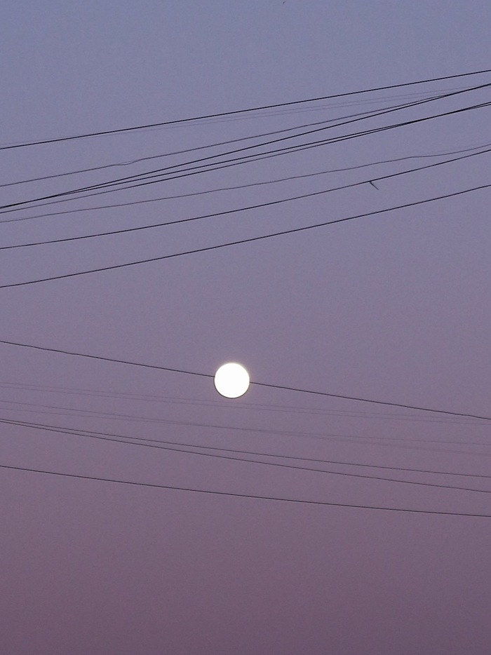 Hello, the moon is on the wire - My, Sky, moon, Evening, Successful angle, Illusion, The photo, Longpost