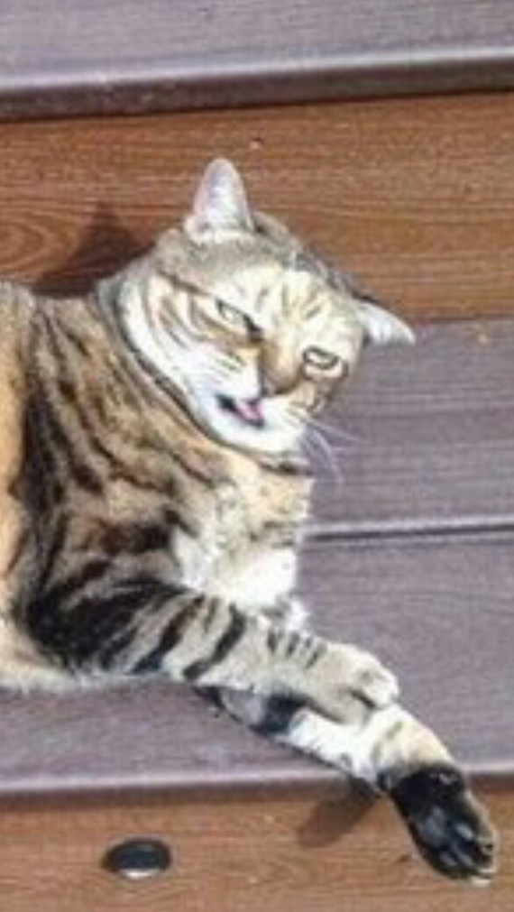 ����� ��������� ������ � ������ � �����������