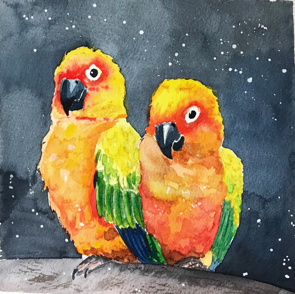 Parrots - My, Drawing, Watercolor, Sketchbook, Birds, A parrot, Longpost