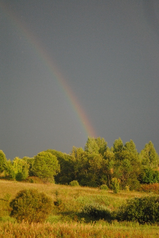 Summer rain - Rain, Rainbow, Summer, The photo, The clouds