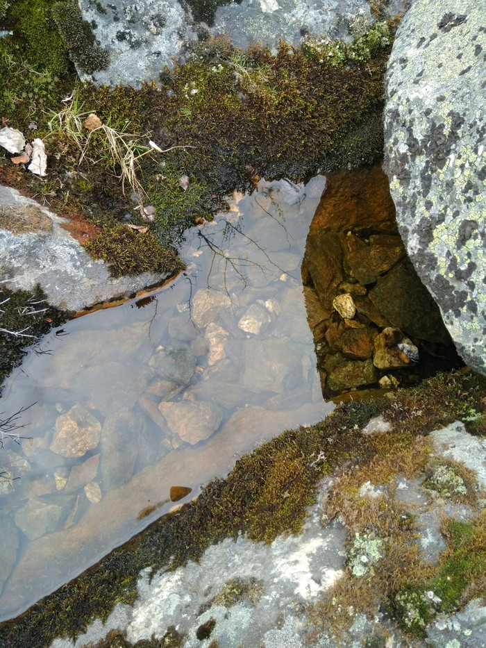 Когда ты живёшь на Севере и наслаждаешься летом как можешь Север, Природа, длиннопост