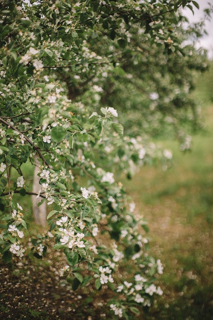 Гелиос Гелиос-44, Фотография, Карелия, Петрозаводск, Длиннопост