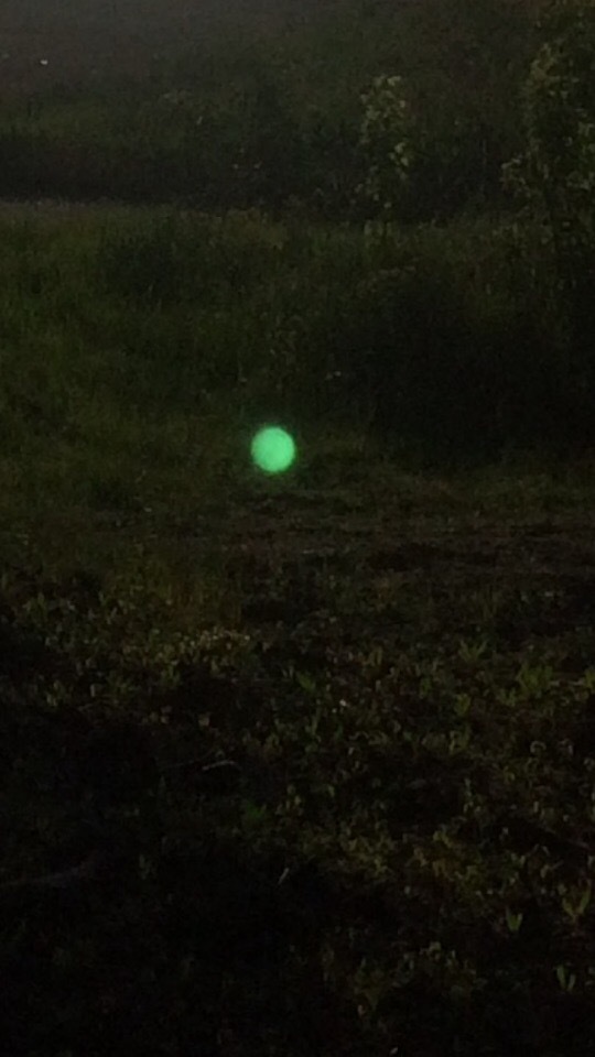 The mysterious ball in the photo, who knows what it is? - My, The photo, Not photoshop, UFO, , Ball lightning, Mystic, Longpost