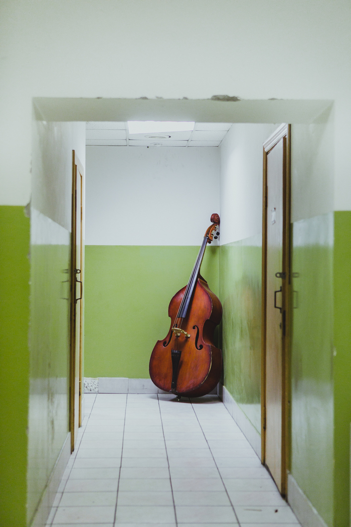 double bass - My, Contrabass, The photo, Musical instruments