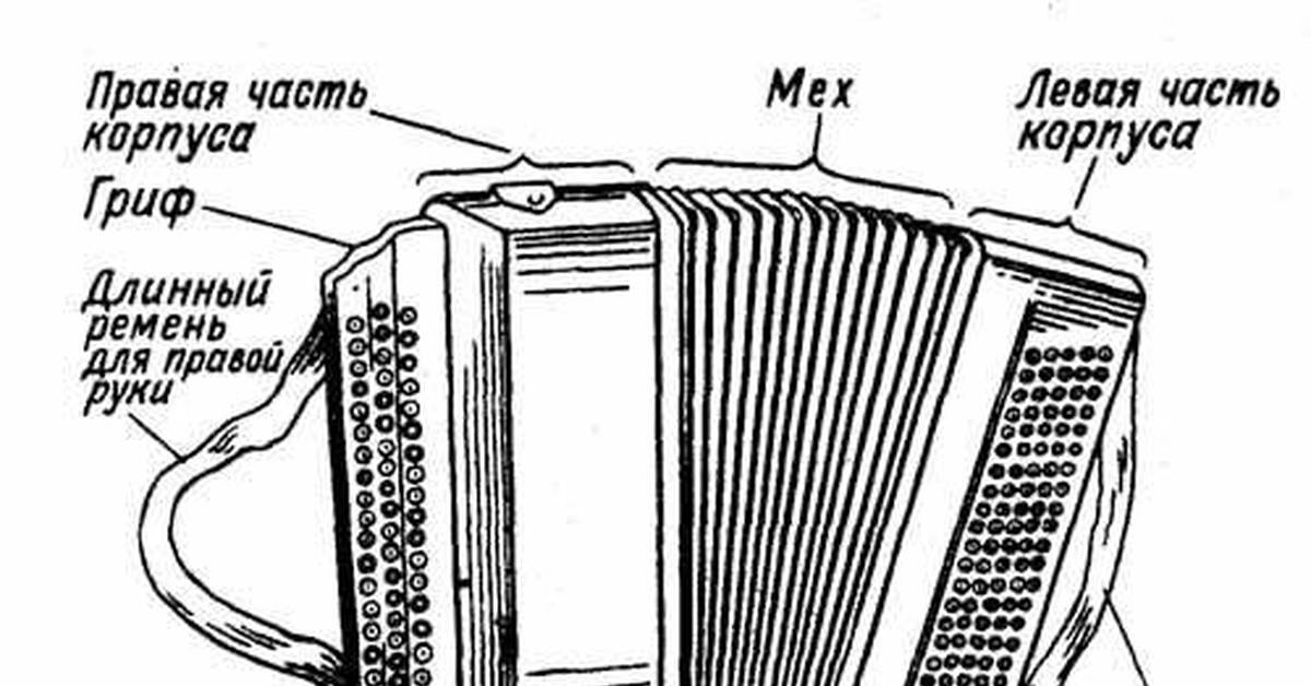 Части музыкального инструмента. Конструкция гармони. Строение гармони. Строение аккордеона схема. Устройство гармони схема.