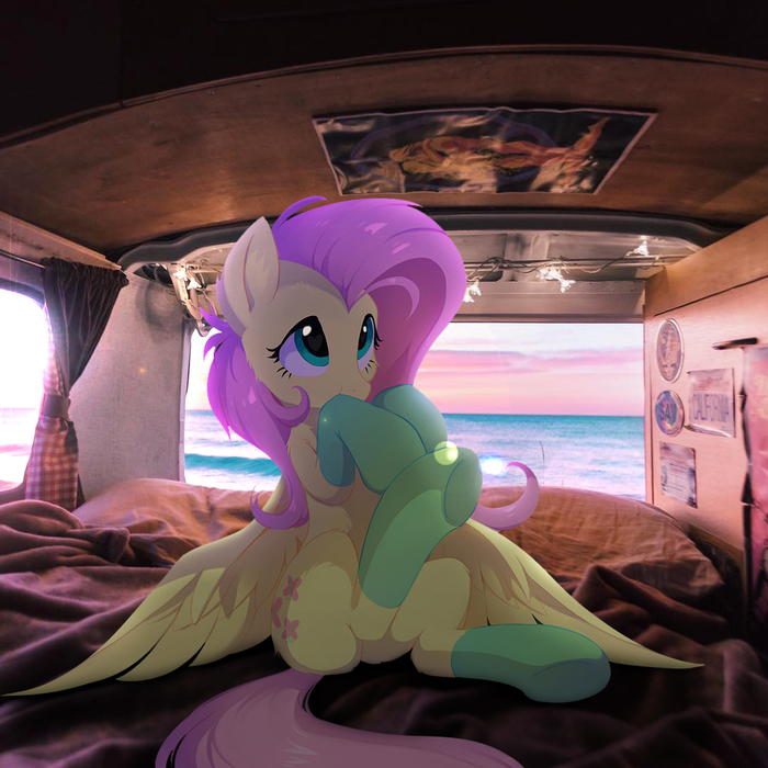 "    ?" My Little Pony, Fluttershy