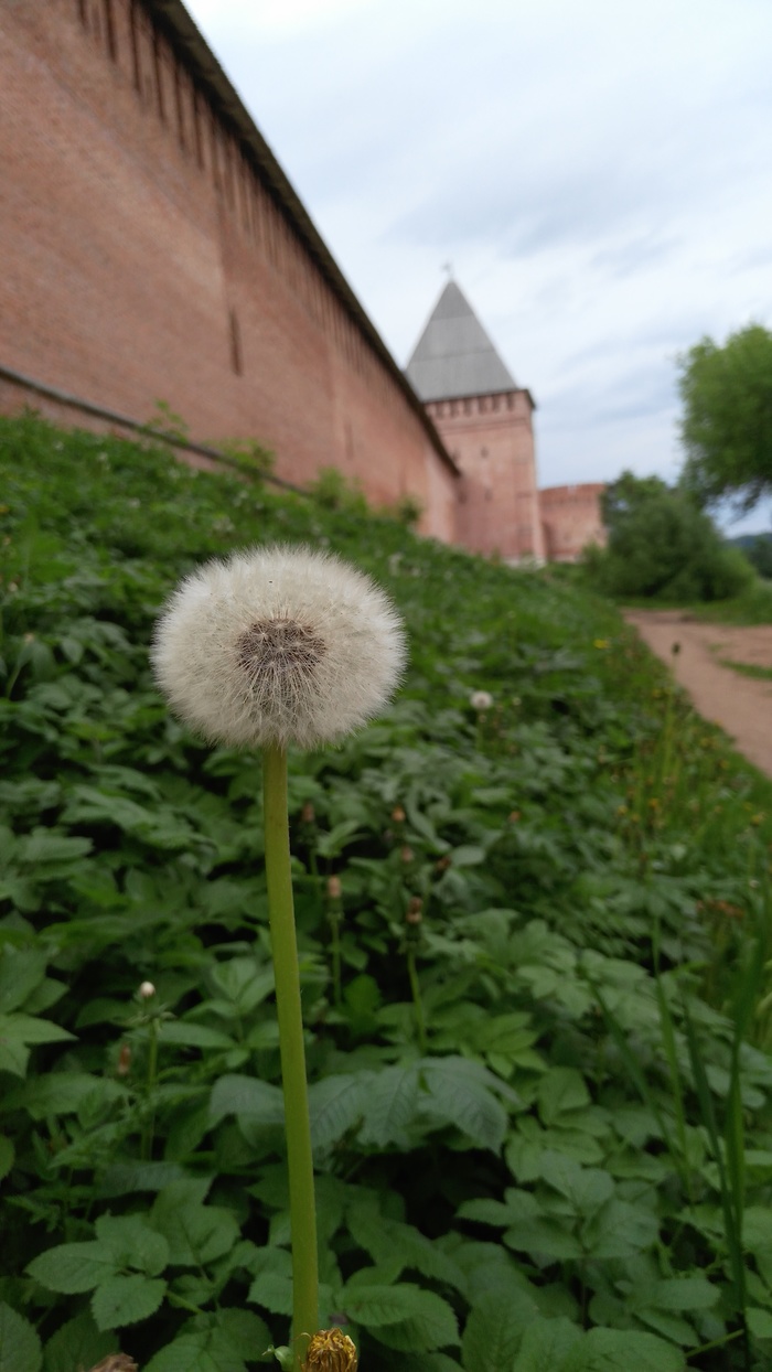 Smolensk. Little motherland - My, Fortress, Homeland, Smolensk