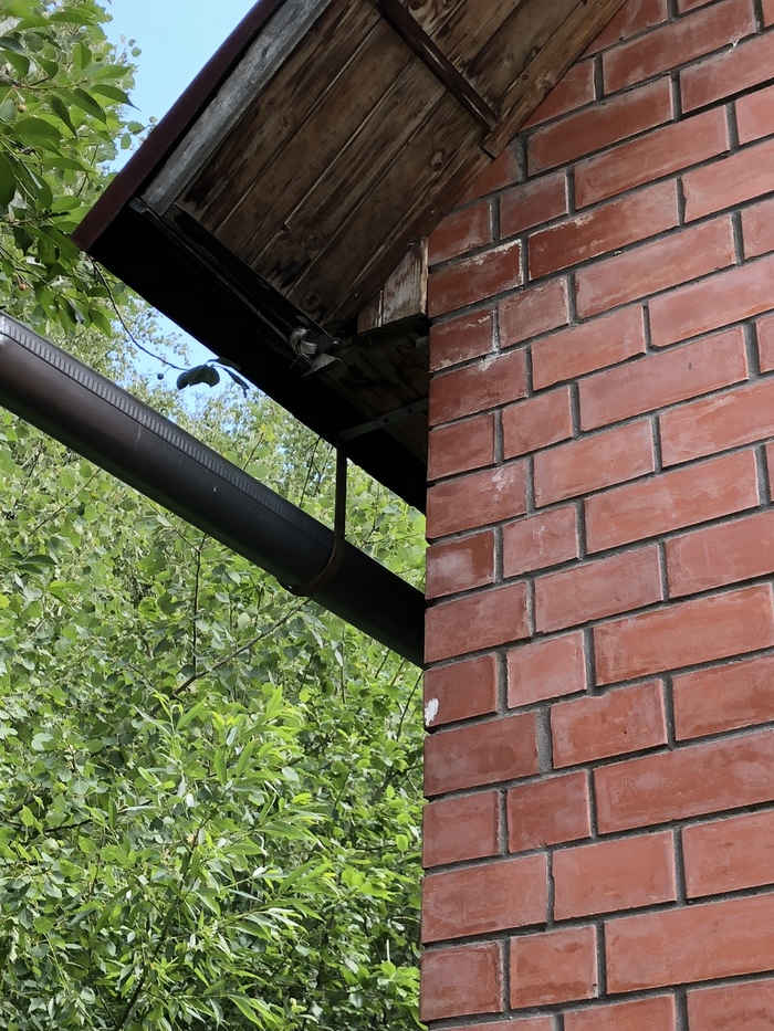 ����� �����...