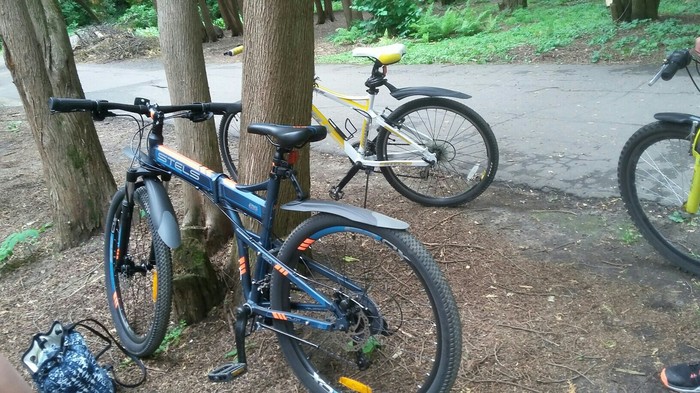 ������������ �������� �� ���