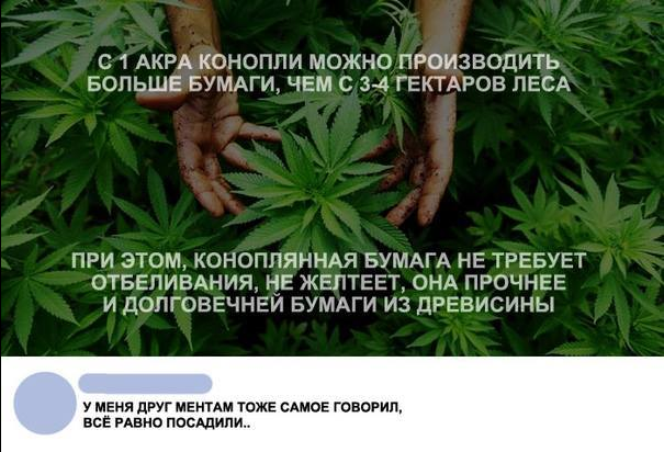 It's good that in Russia there is no tension with paper)) - The photo, Paper, Production, Hemp, Comments