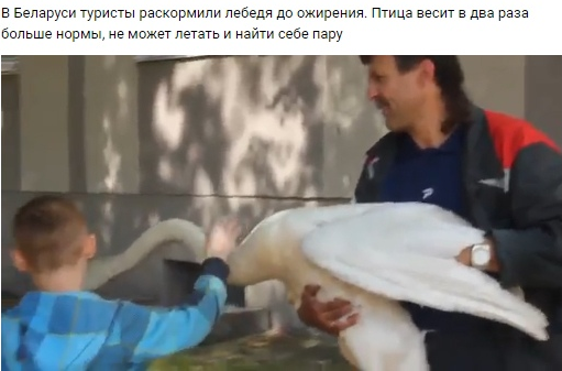 ����� ���� ����� �������� �������� � ��������� ����