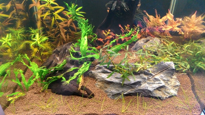 Nano Cube 30 . 1  (07.07.2018). , ,  , 