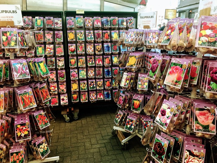 Цветочный рынок (Bloemenmarkt) в Амстердаме Амстердам, Нидерланды, Тюльпаны, Луковицы, Цветы, Рынок, Bloemenmarkt, Цветочный рынок, длиннопост