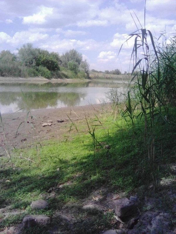 Residents of the Saratov village are sounding the alarm! - Saratov region, , Drought, Longpost