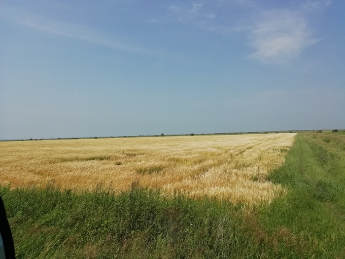 Вот вот начнется... Уборочная в Приморье