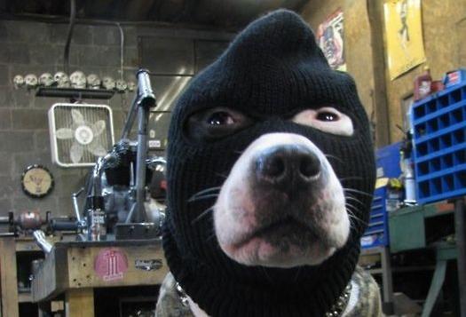 ������ ������� �������� ����� �������� �� ����� ������ � ������