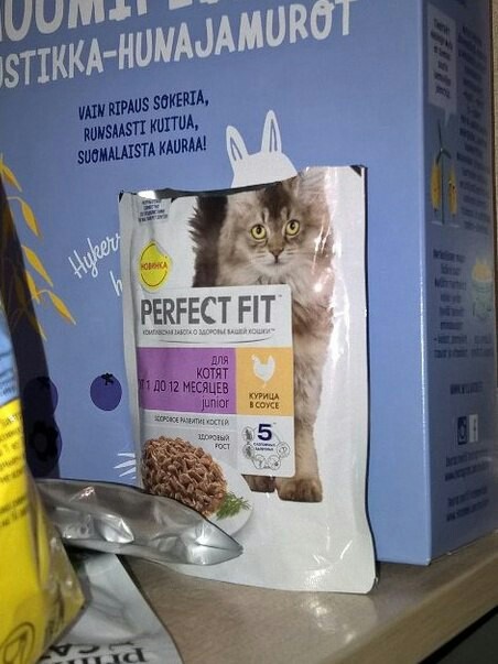 cat bunny - My, cat, Cat's food, Box, Catomafia