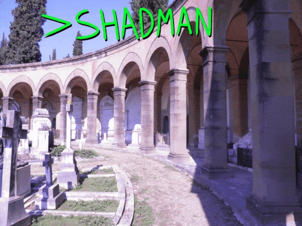  ,    ? My Little Pony, Fluttershy, Shadman, 
