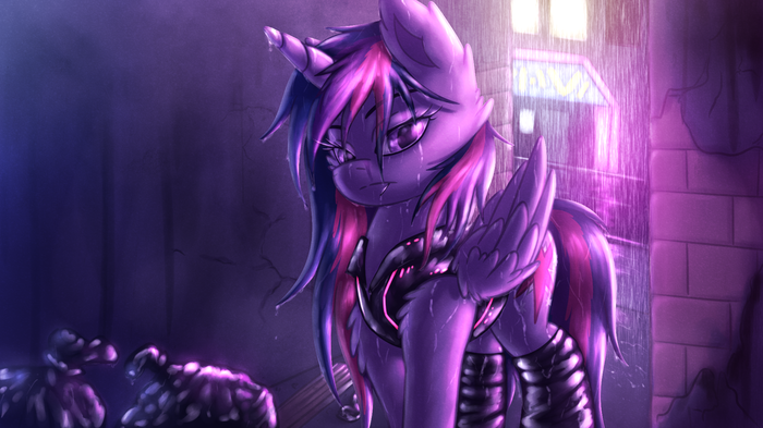 ��� ���� ��� �����